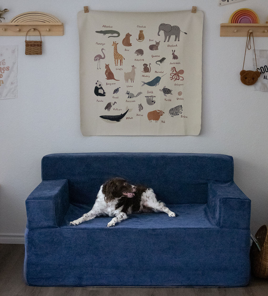A dog relaxes on a navy blue modular play couch in a cozy, pet-friendly home, showcasing the durable foam play couch design perfect for kids, toddlers, and family spaces.